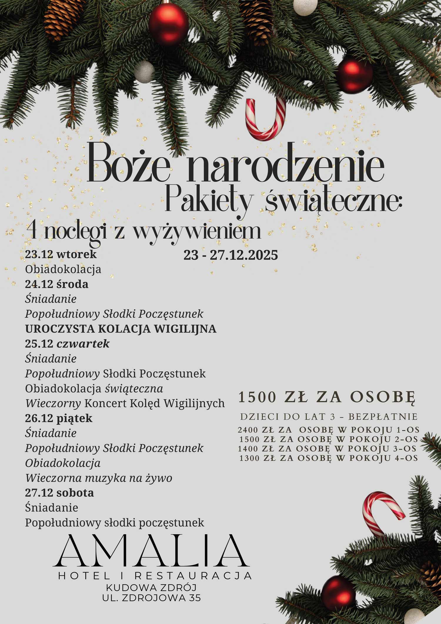 Read more about the article Pakiet Boże Narodzenie w Hotelu Amalia